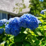 Gloucher-Massachusetts-Relocation-Guide